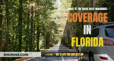 Florida Auto Insurance: Understanding the Basic Coverage Requirements