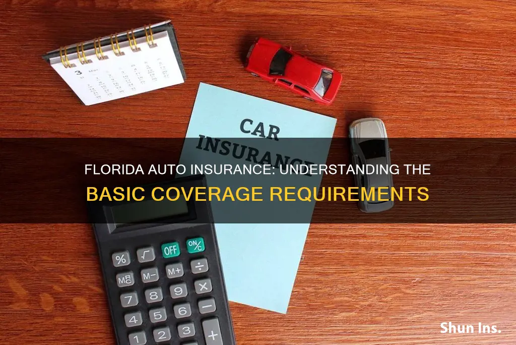 what is the basic auto insurance coverage in Florida