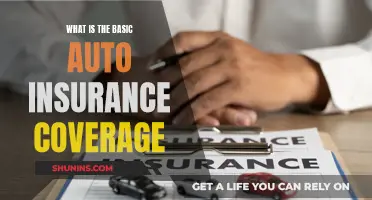 Auto Insurance Basics: Understanding the Standard Coverage