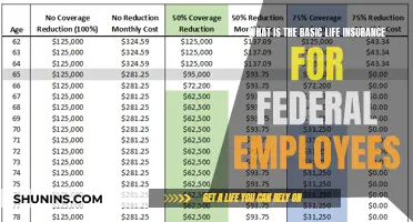 Unraveling the Basics: Federal Employee Life Insurance Simplified