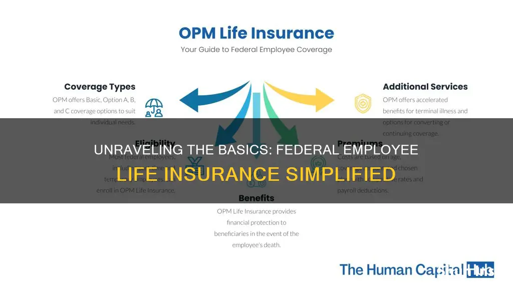 what is the basic life insurance for federal employees