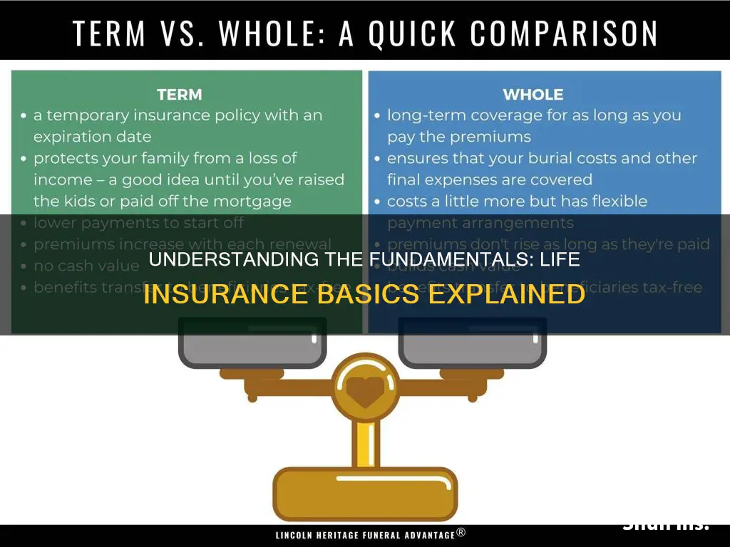 what is the basic of life insurance