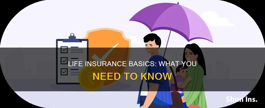 what is the basic of life insurance