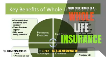 Whole Life Insurance: A Lifelong Financial Safety Net