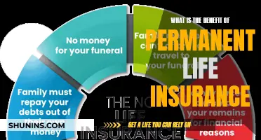 Unlocking Financial Security: The Power of Permanent Life Insurance