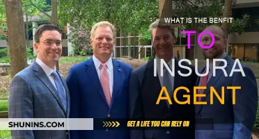 How Insurance Agents Gain from Policy Sales