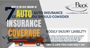 Auto Insurance Coverage: How Much is Enough?