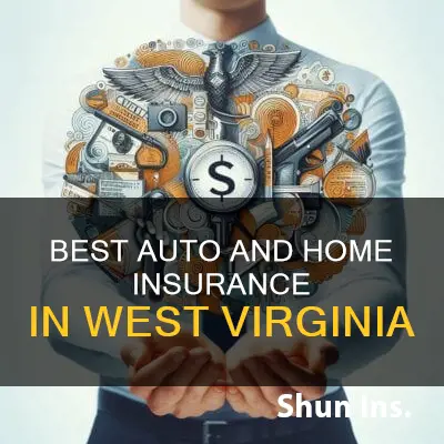 what is the best auto and home insurance in wv