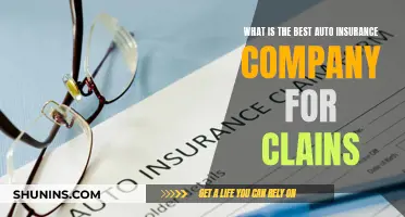 Best Auto Insurance Companies for Easy Claims