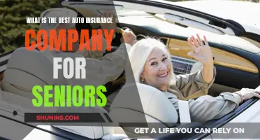 Best Auto Insurance Options for Seniors