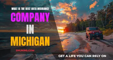 Best Auto Insurance Company in Michigan: Who's Top?