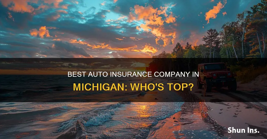 what is the best auto insurance company in Michigan