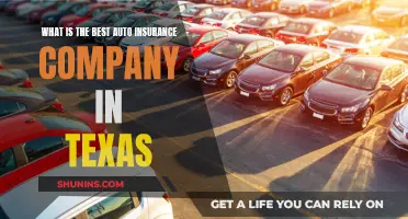 Best Auto Insurance Company in Texas: Who's Number One?