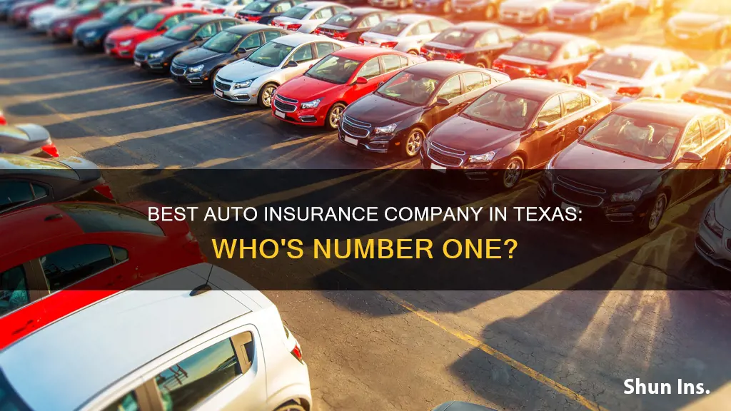 what is the best auto insurance company in Texas