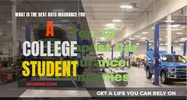 Best Auto Insurance Options for College Students