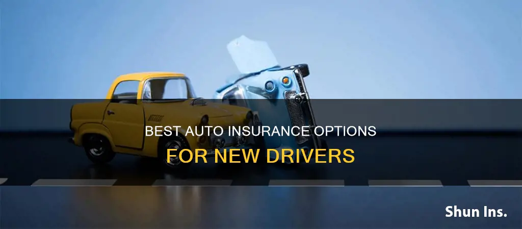 what is the best auto insurance for first time drivers