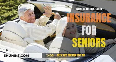 Auto Insurance for Seniors: Best Options