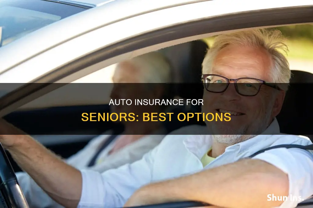 what is the best auto insurance for seniors