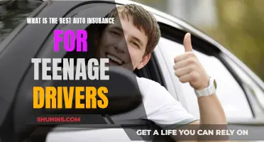 Teenage Drivers: Best Auto Insurance Options