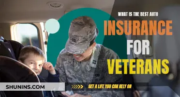 Best Auto Insurance Options for Veterans