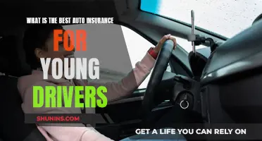 Young Drivers: Best Auto Insurance Options