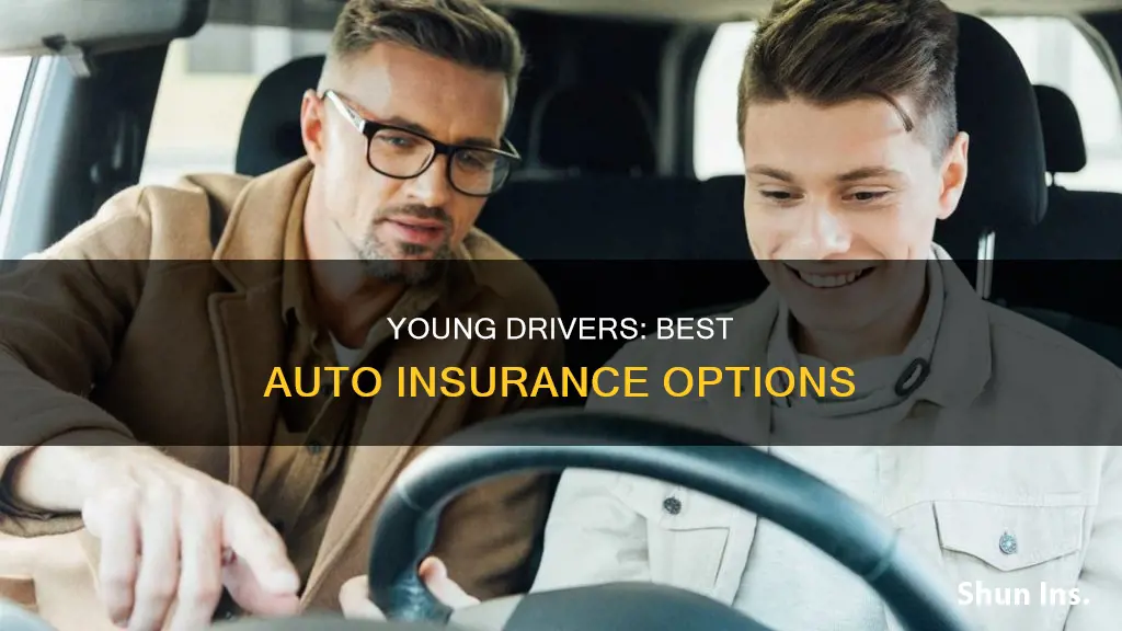 what is the best auto insurance for young drivers