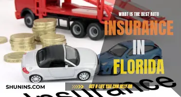 Florida Auto Insurance: Best Options