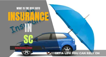 Auto Insurance in South Carolina: Finding the Best Coverage