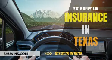 Best Auto Insurance in Texas: What to Choose?