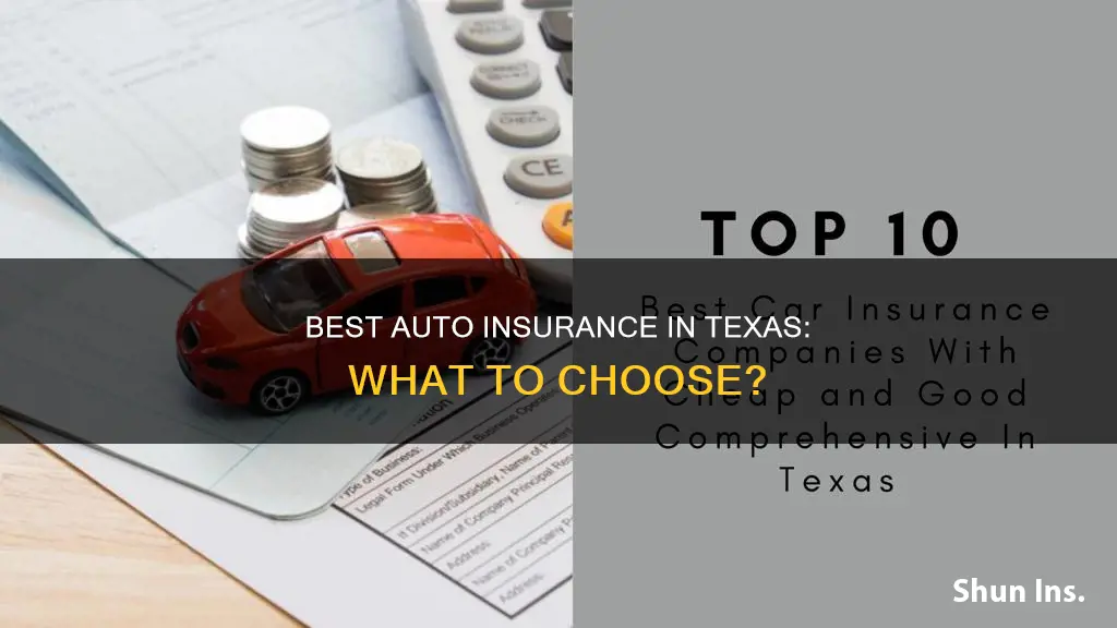 what is the best auto insurance in Texas