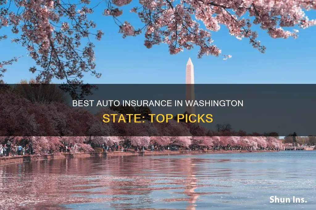 what is the best auto insurance in Washington state