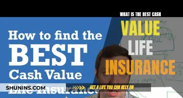 Maximizing Cash Value: The Ultimate Guide to Choosing the Best Life Insurance