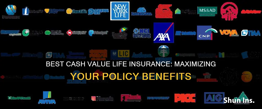 what is the best cash value life insurance