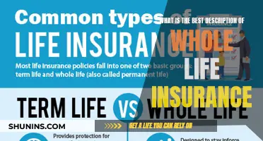 Whole Life Insurance: The Ultimate Financial Security Companion