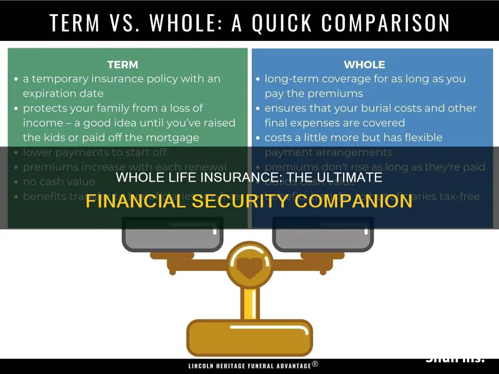 what is the best description of whole life insurance