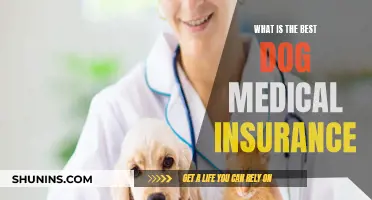 Dog Medical Insurance: Choosing the Right Coverage for Your Pet