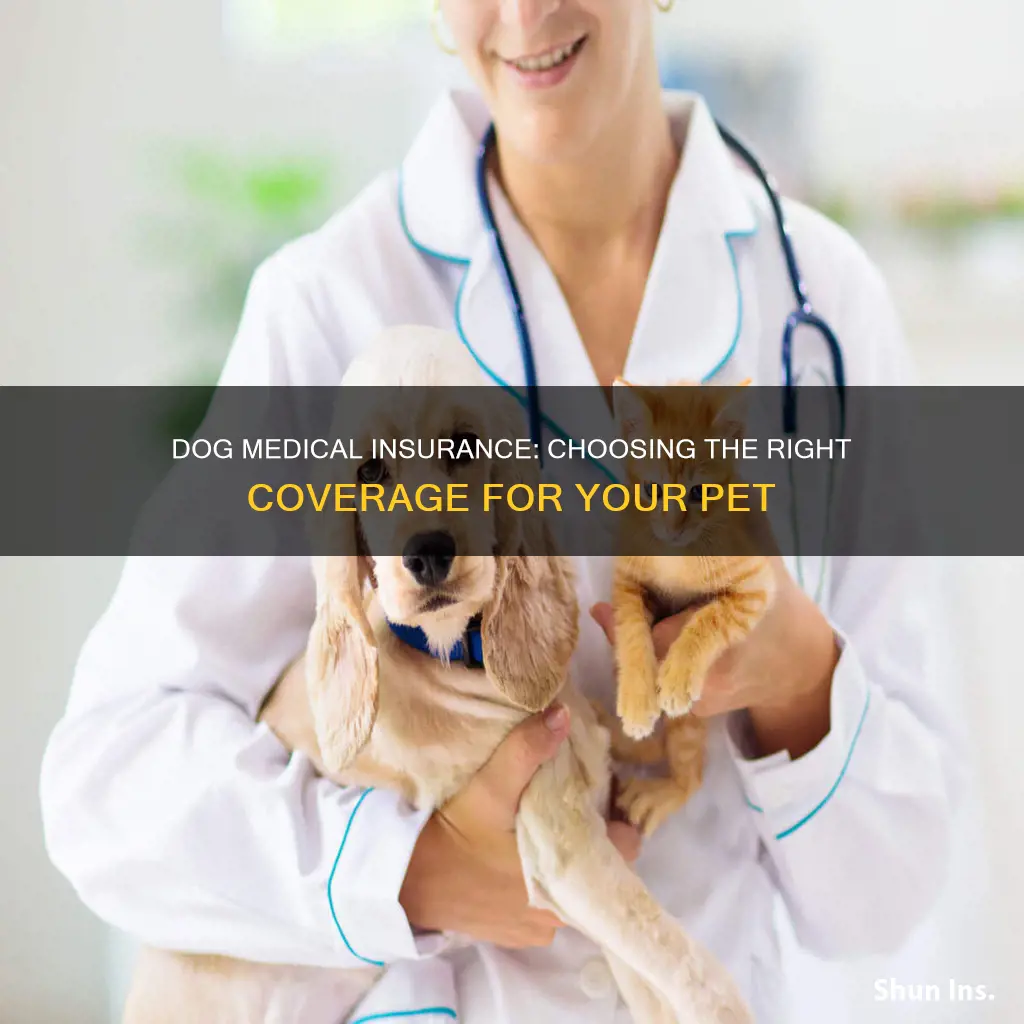 what is the best dog medical insurance