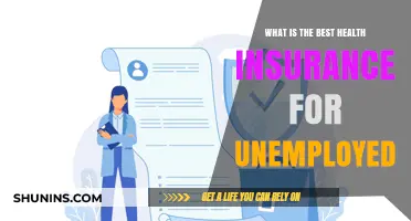 Top Health Insurance Options for the Unemployed: A Comprehensive Guide
