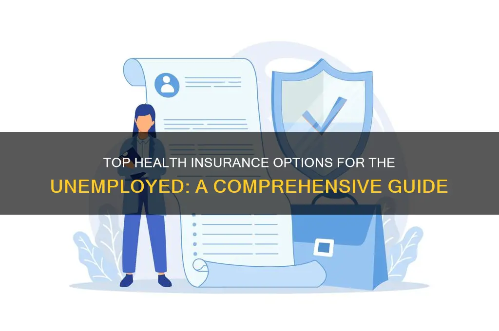 what is the best health insurance for unemployed