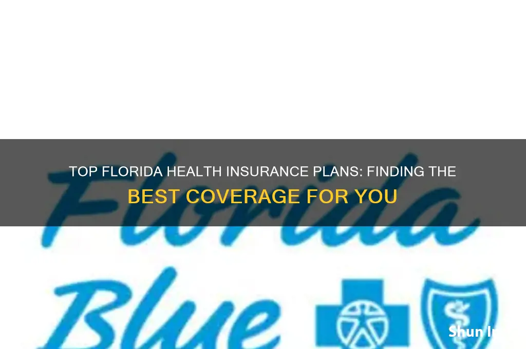 what is the best health insurance in florida