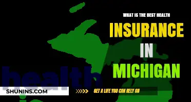 Top Health Insurance Plans in Michigan: A Comprehensive Guide