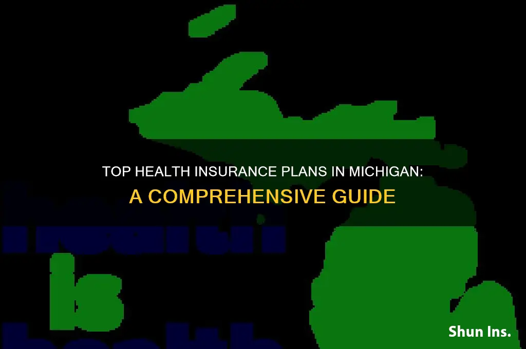 what is the best health insurance in michigan