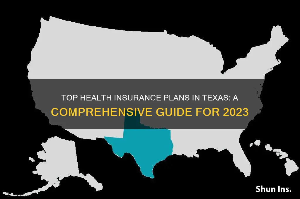 what is the best health insurance in texas
