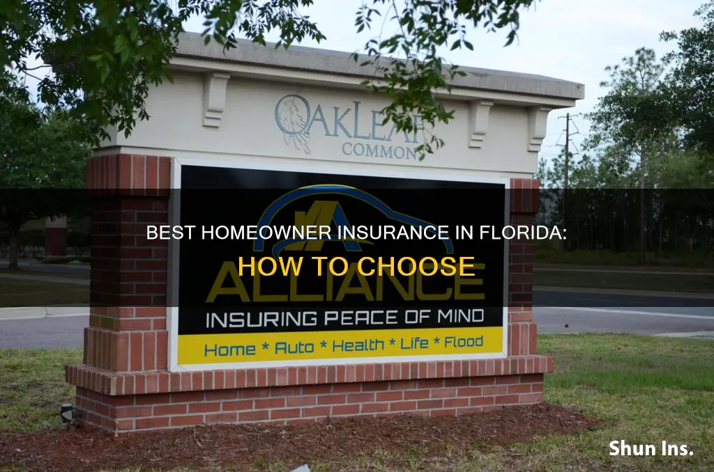 what is the best homeowner insurance in Florida