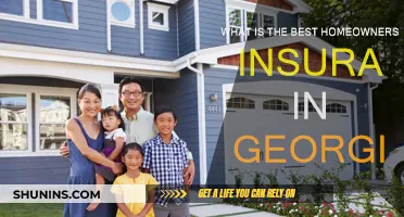 Best Homeowners Insurance in Georgia: Top Picks