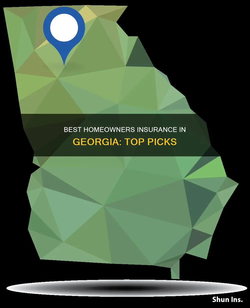 what is the best homeowners insurance in Georgia