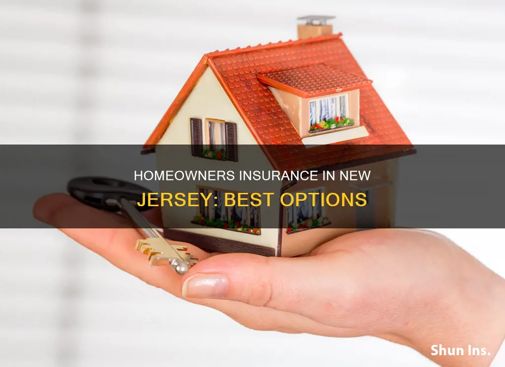 what is the best homeowners insurance in new jersey