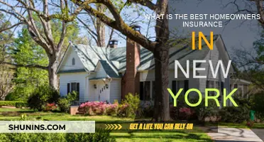 Homeowners Insurance in New York: Best Options