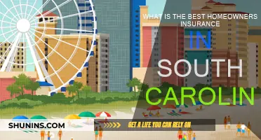 Best Homeowners Insurance in South Carolina: Top Picks
