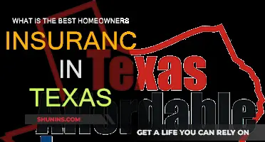 Best Home Insurance in Texas: Top Picks